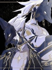 美国人与动物免费